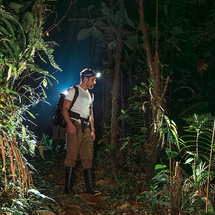 Image showing biologist Alejandro Arteaga exploring the trails of Arlequín Reserve in search for the Mindo Harlequin Toad