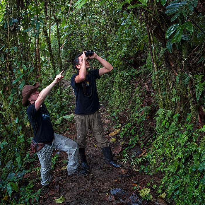 Image showing two biologists using binoculars to spot birds in the cloud forest canopy