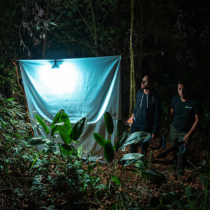 Image showing two biologists setting up a light trap to capture insects in the cloud forest