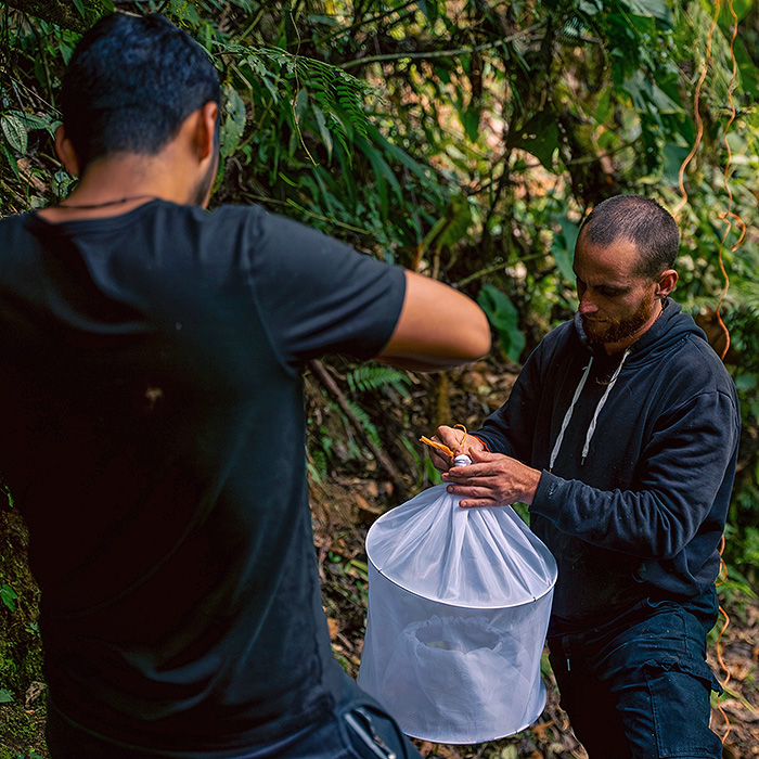 Image showing two biologists setting up a malaise trap in the cloud forest