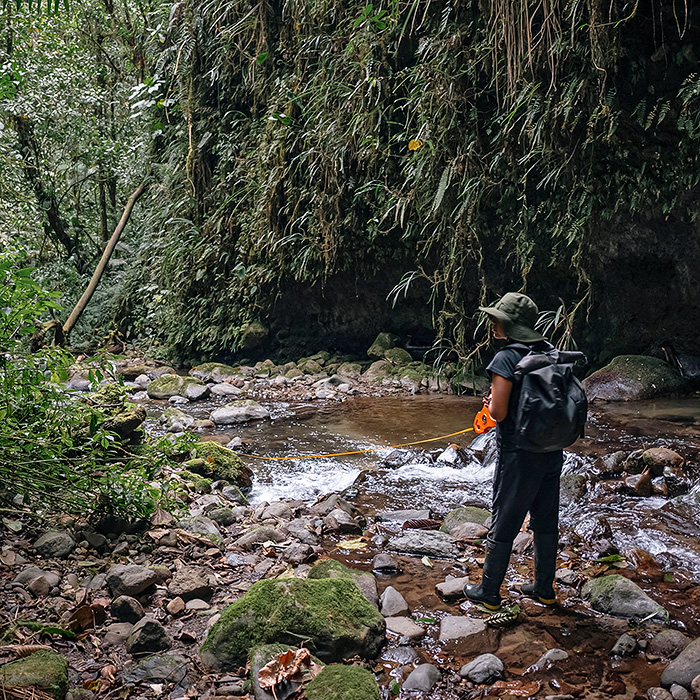 Image showing biologist Amanda Quezada measuring a river segment to establish a monitoring transect for the Mindo Toad at Arlequín Reserve