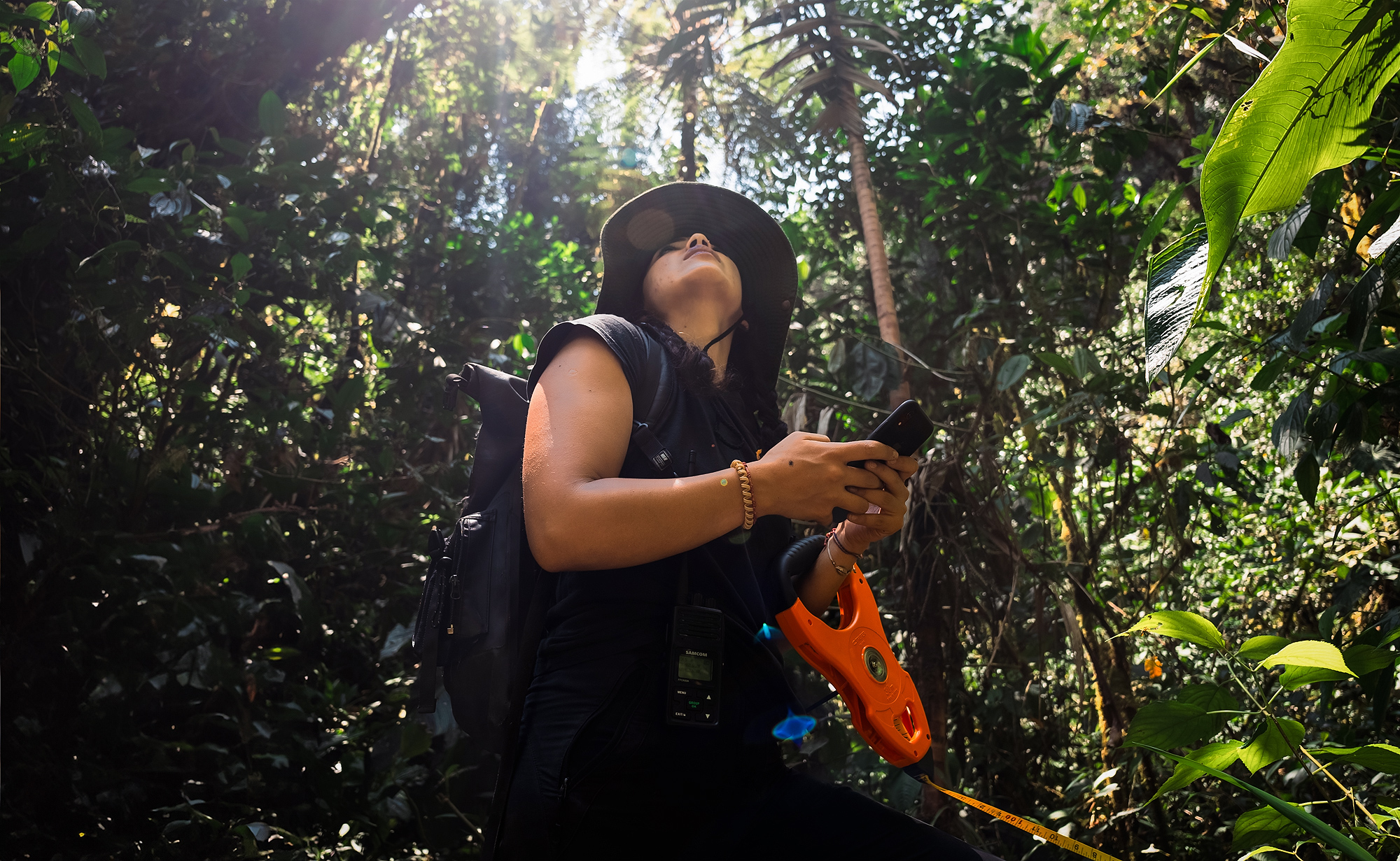 Image showing biologist Amanda Quezada surveying the habitat of Atelopus mindoensis