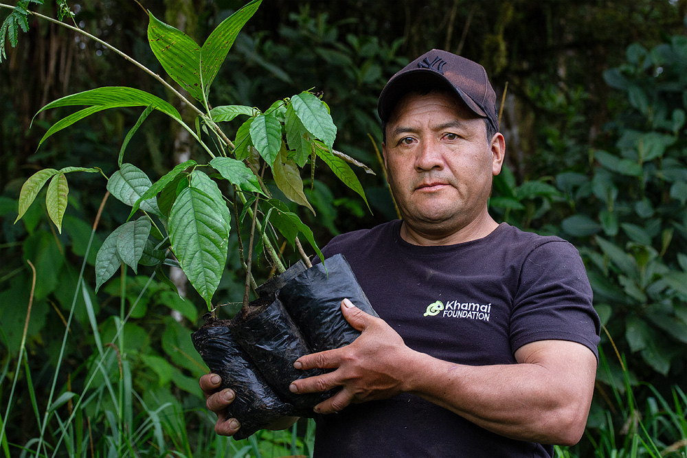 Image showing park ranger Franklin Pérez holding four saplings