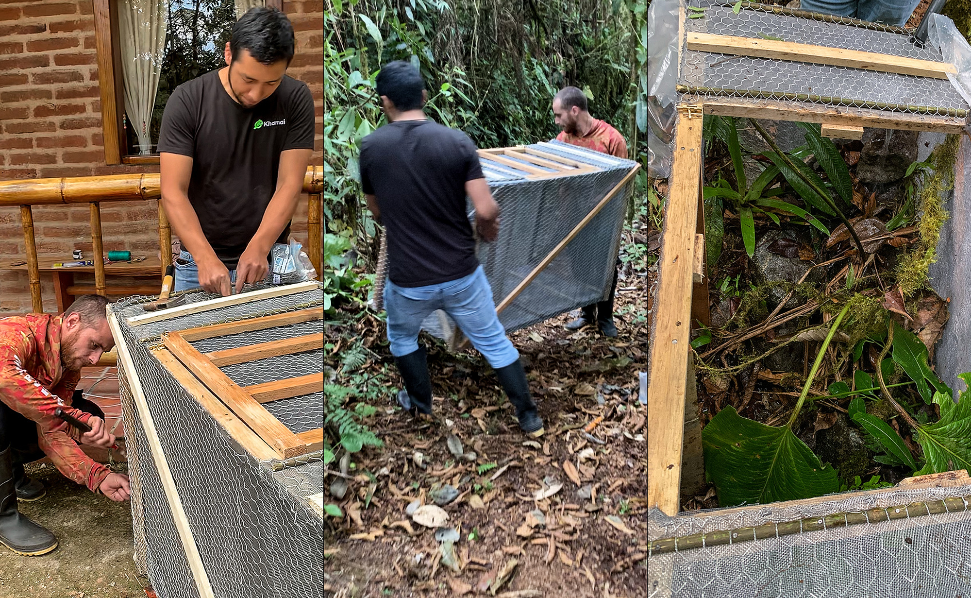 Image depicting biologist Jose Vieira and park ranger Gerardo Obando building an in-situ terrarium for the Mindo Toad