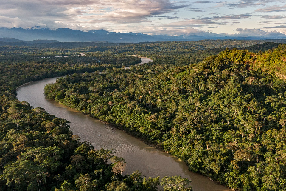 Photo of the rainforest at Pitalala Reserve