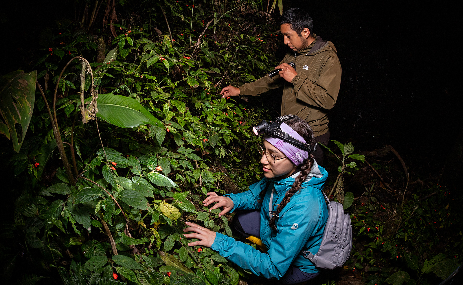 Image showing two biologists of Khamai Foundation searching for survivors of Atelopus mindoensis