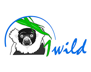 Logo of 1Wild
