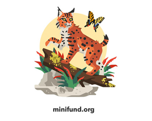 Logo of Minifund