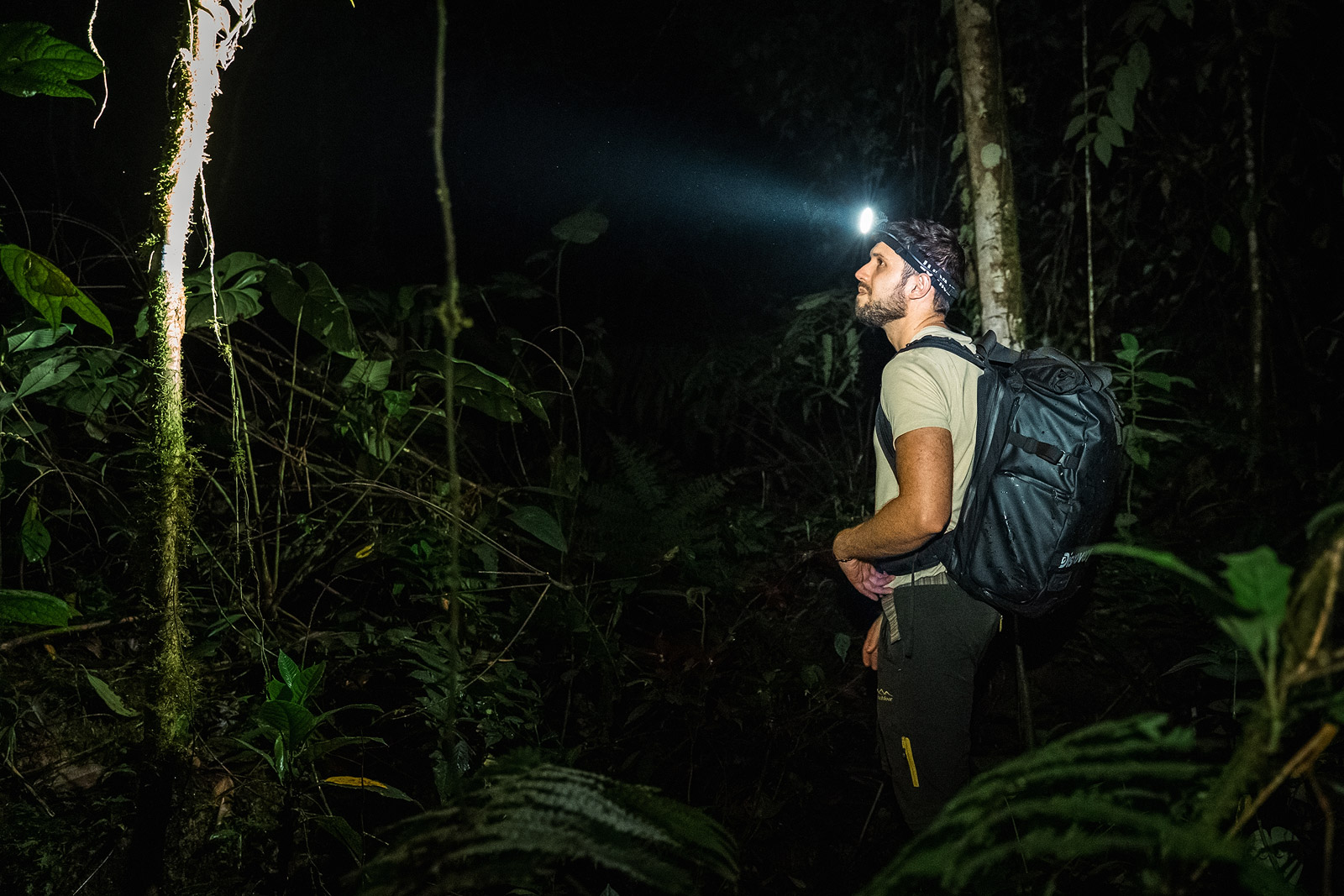 Researcher Alejandro Arteaga looking for eyelash vipers in the cloud forest of Colombia