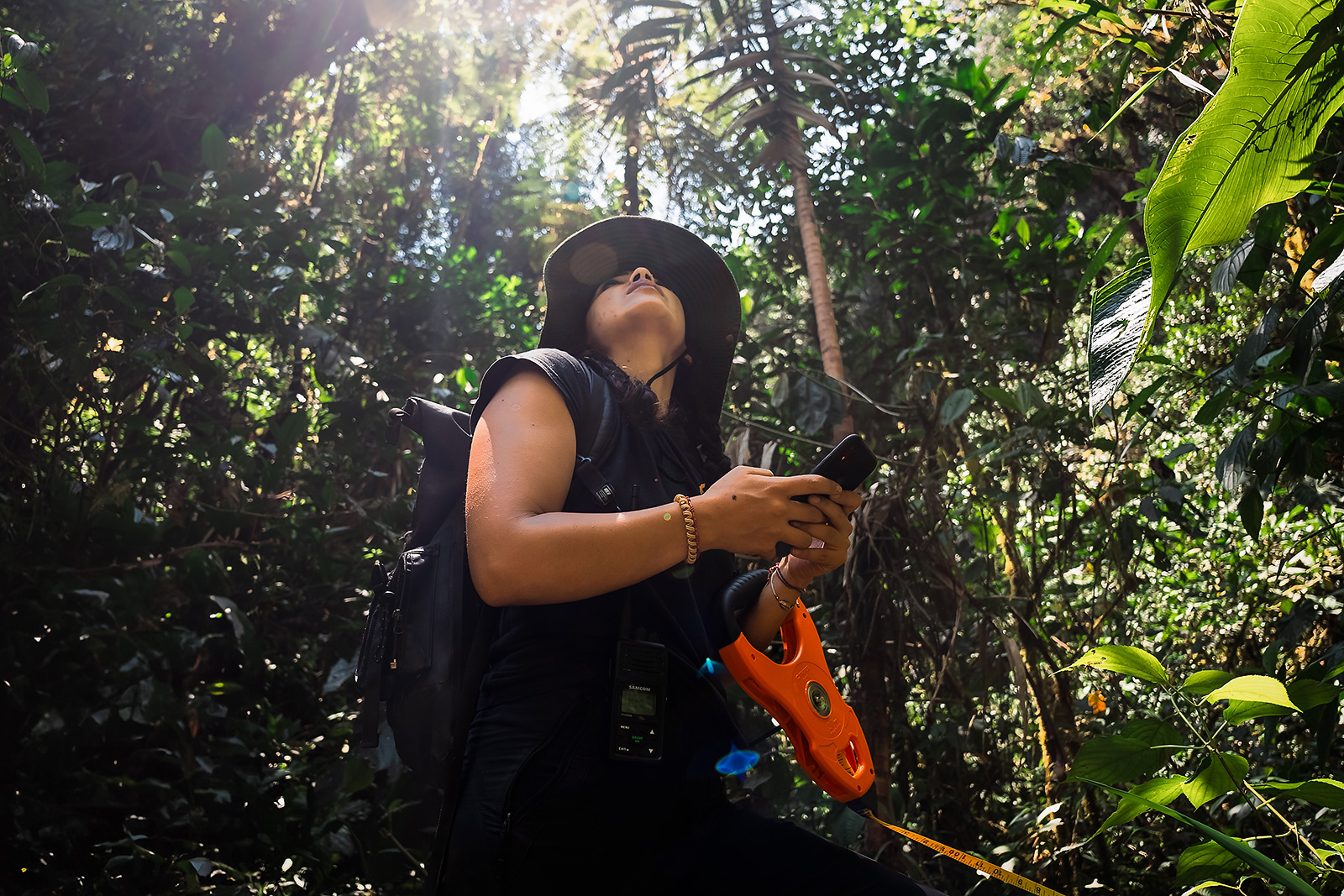 Image showing biologist Amanda Quezada surveying the habitat of Atelopus mindoensis