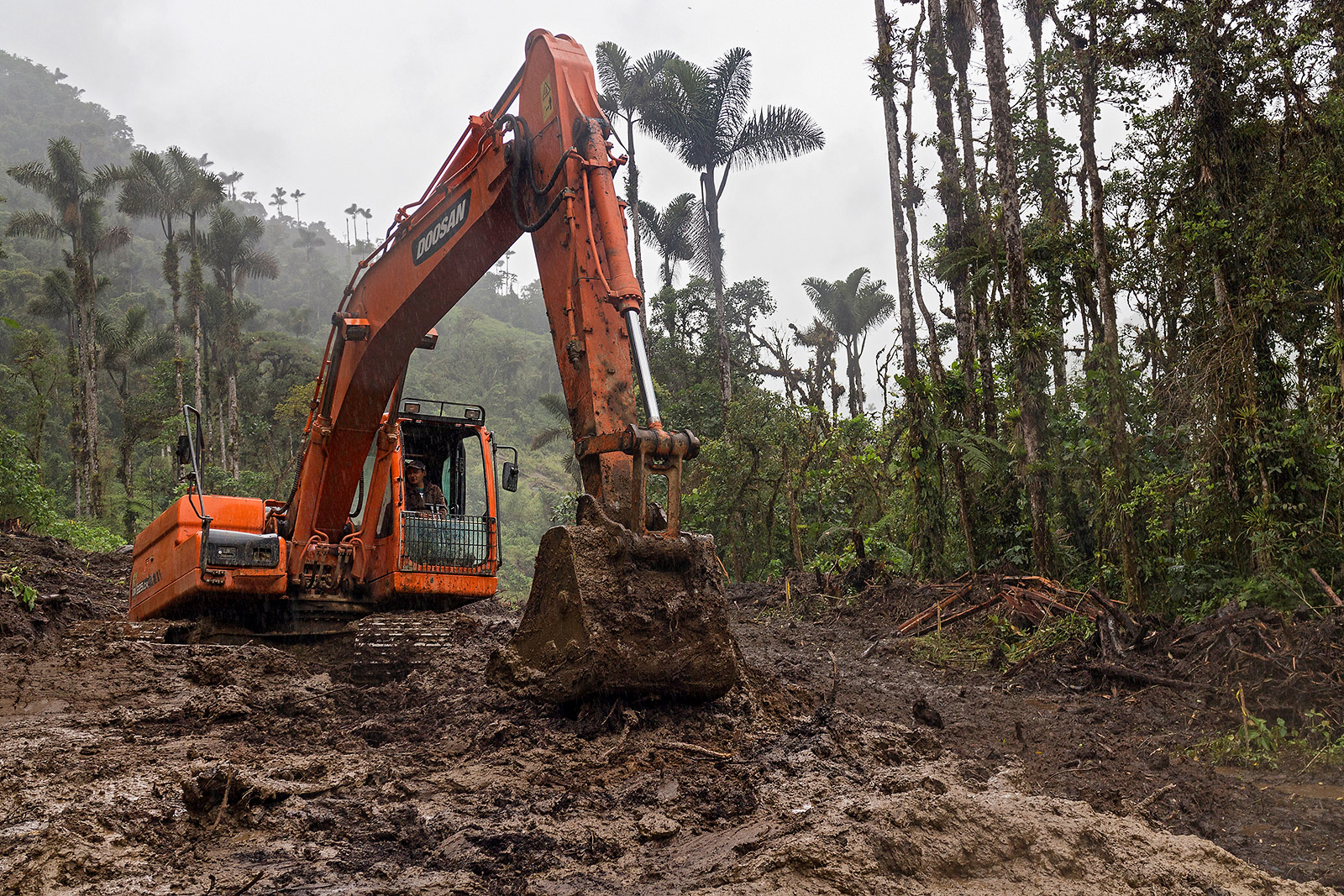 Image showing a Backhoe loader destroying rainforest in the upper Amazon of Ecuador