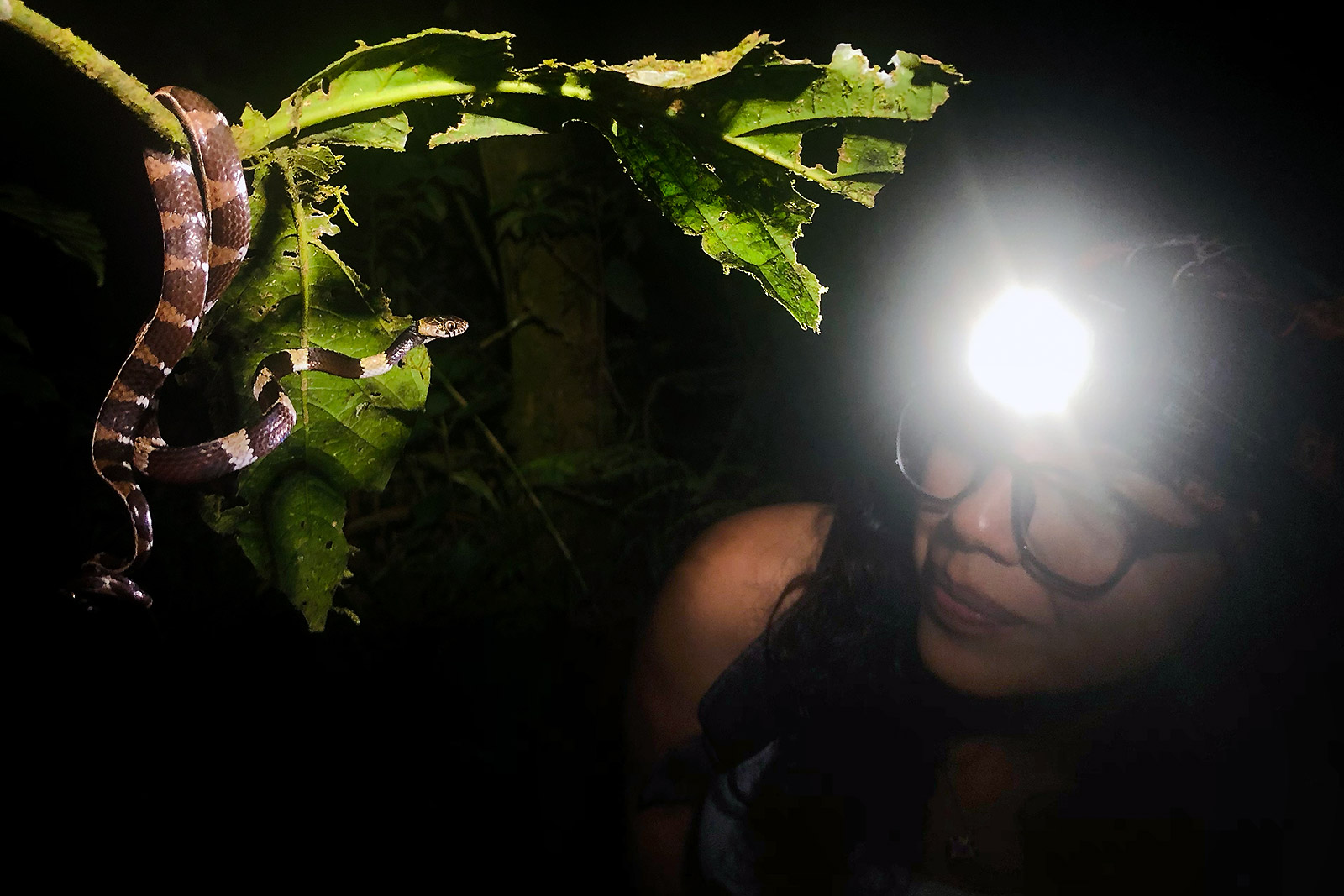 Image showing biologist Amanda Quezada next to an individual of the snake Dipsas welborni