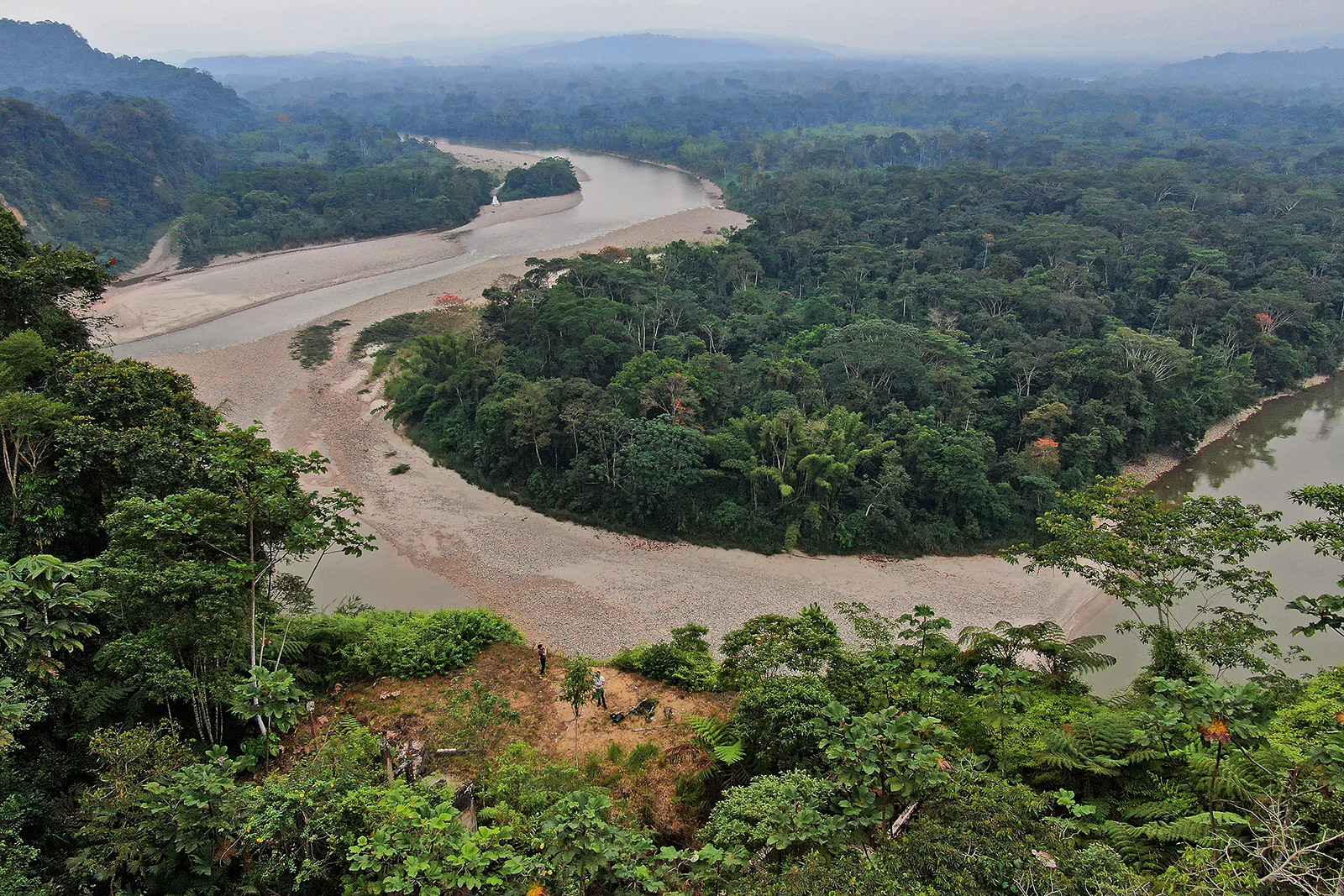 Aerial image of the Amazon rainforest at Pitalala Reserve