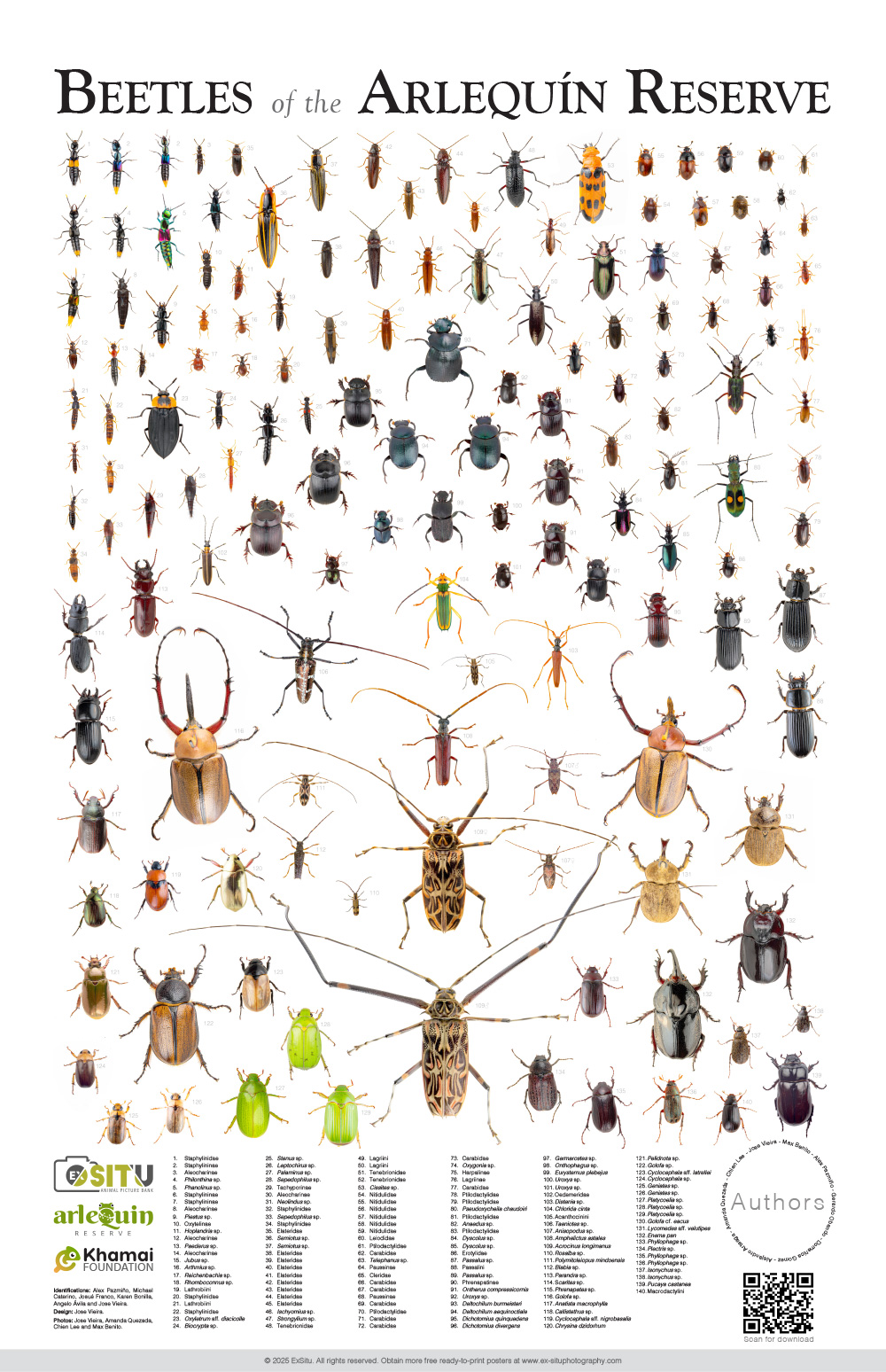 Poster about the beetles of the Arlequin Reserve