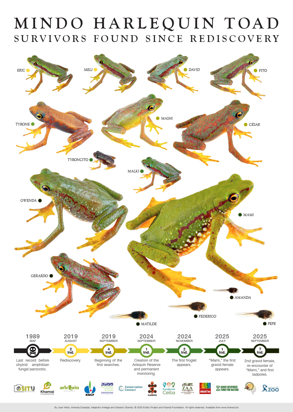 Poster about the survivors of the Mindo Harlequin Toad
