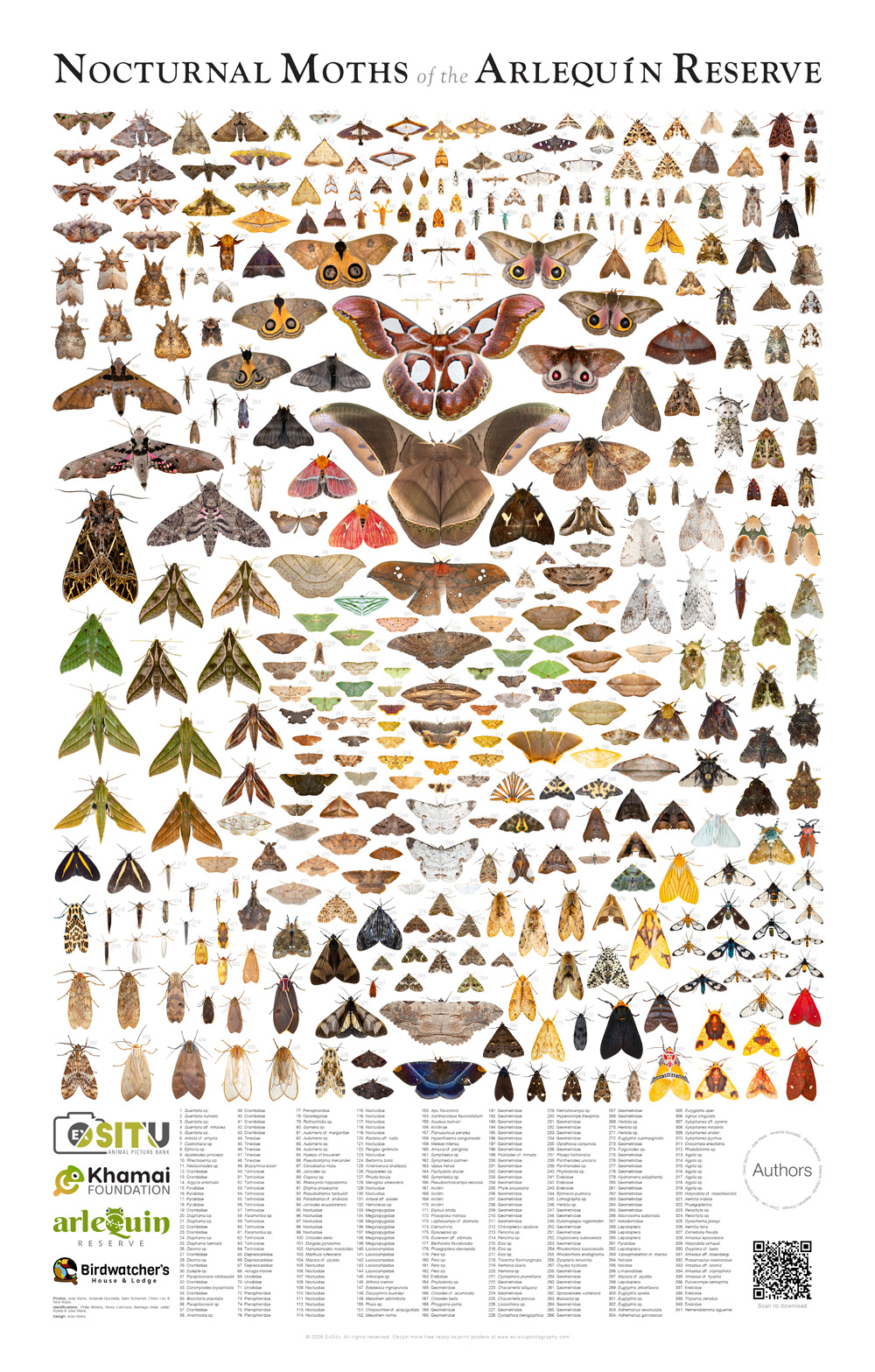 Poster about the moths of the Arlequin Reserve