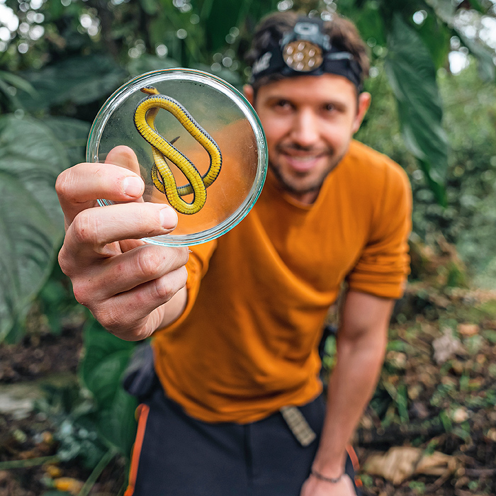 Image showing a biologist holding a new species of ground snake