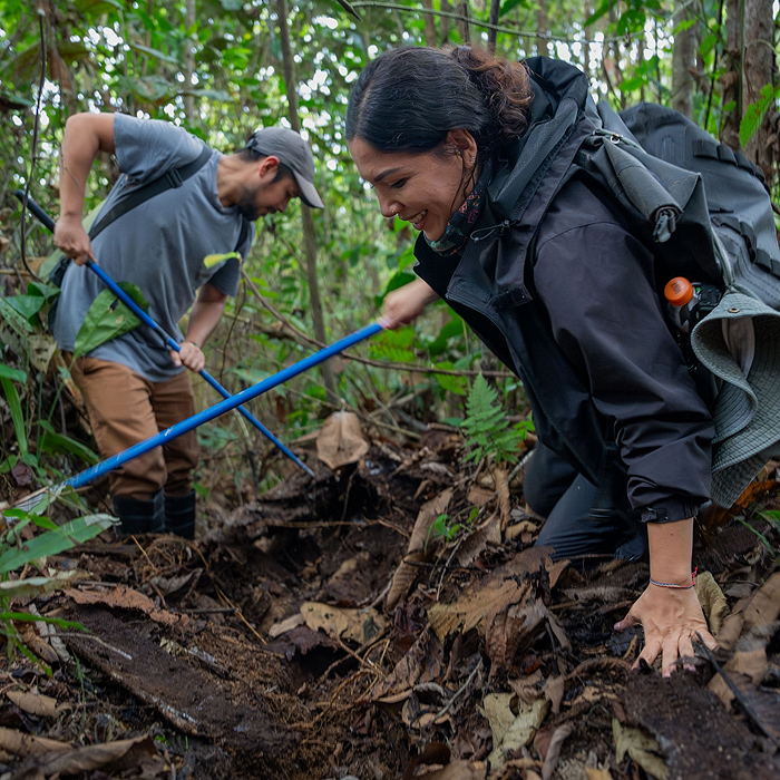 Image showing two biologists surveying the leaf-litter in a rainforest