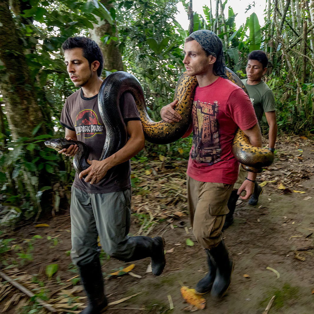 Image showing a field crew carrying an anaconda