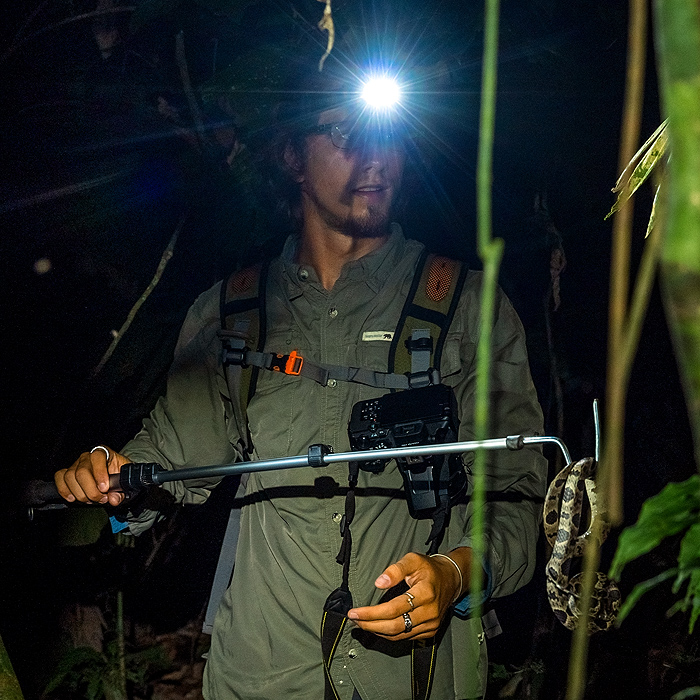 Image showing a biologist holding a snail-eating snake using a snake hook