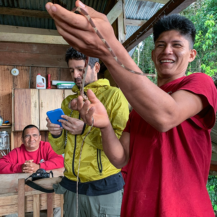 Image showing a local parabiologist holding a snake