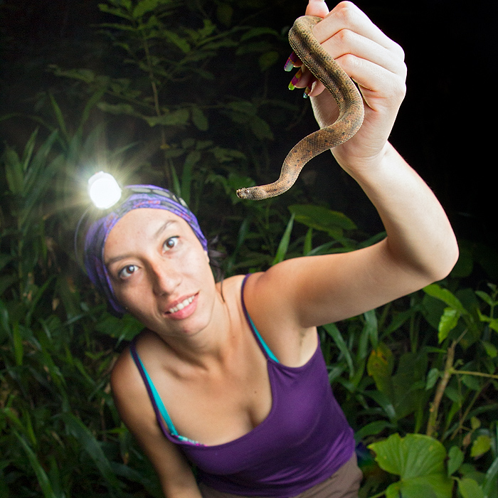 Image showing a biologist holding a dwarf boa