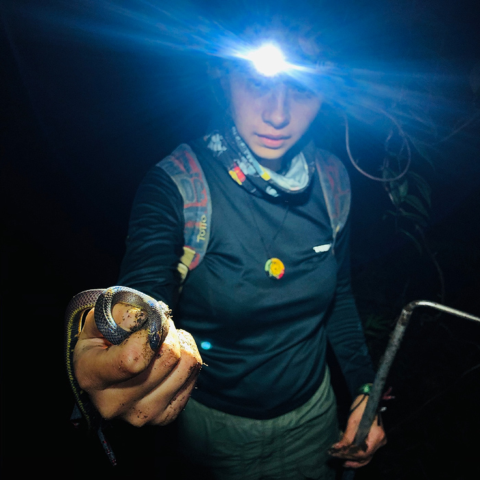 Image showing a biologist holding a ground snake