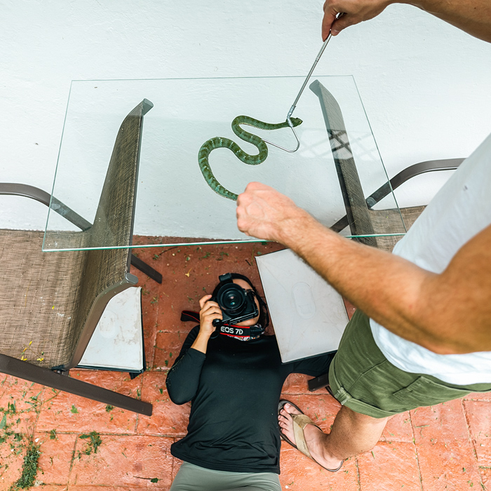 Image showing a biologist photographing a snake from below using a piece of glass