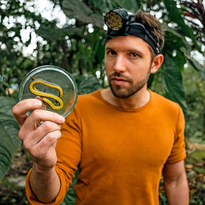Image showing Alejandro Arteaga holding a newly discovered species of ground snake in Ecuador