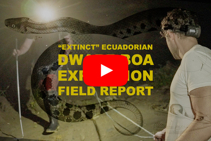 Cover of the video about the Dwarf Boa Expedition
