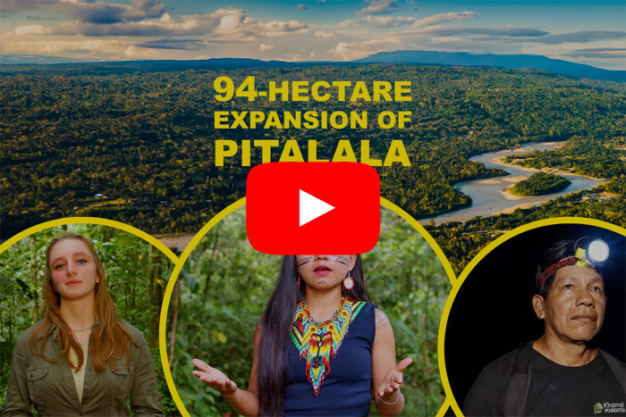 Cover of the video about the 94-ha expansion of the Pitalala Reserve